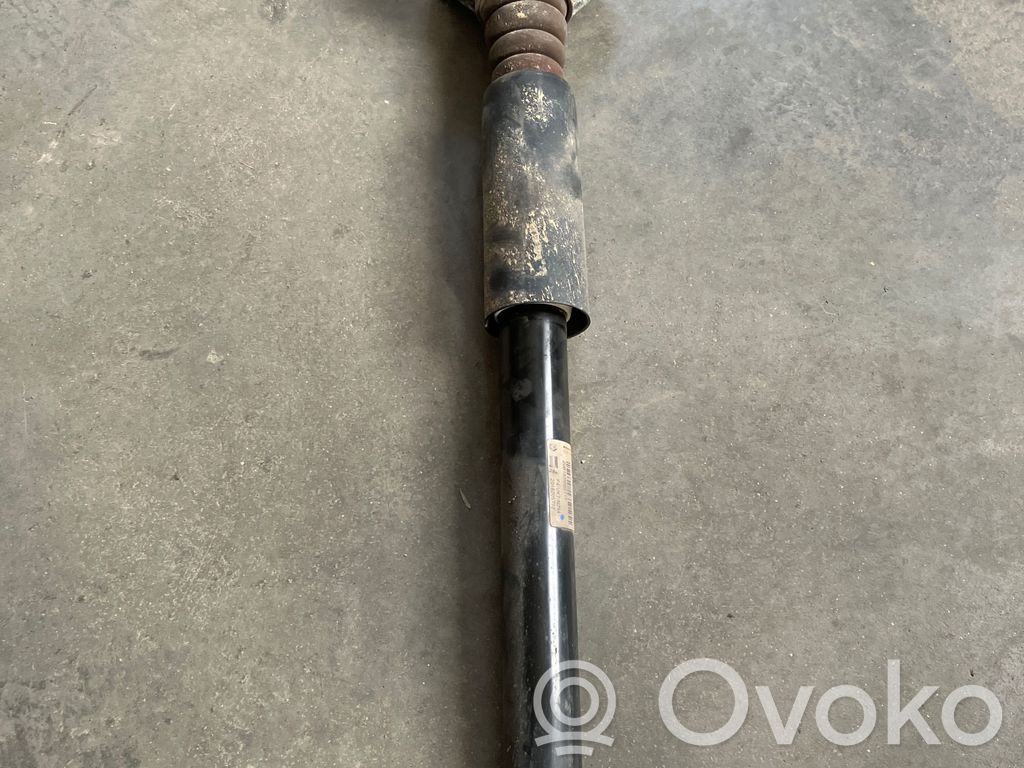 BMW 2 F45 Ansamblu amortizor cu arc spate 