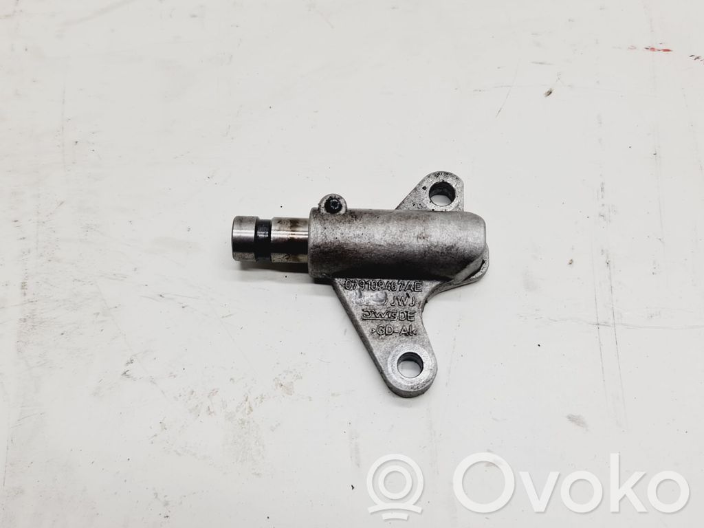 Audi A6 S6 C6 4F Napinacz paska / łańcucha rozrządu 