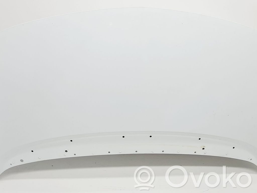Engine bonnet/hood