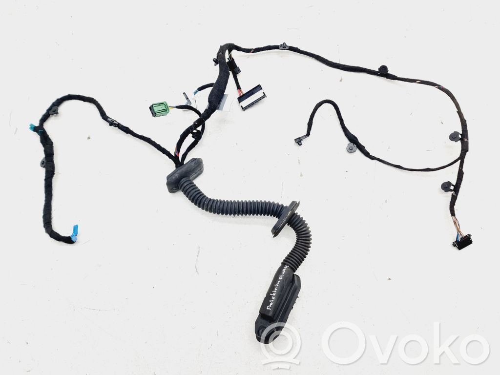 Cableado de puerta delantera   695034201,6913124