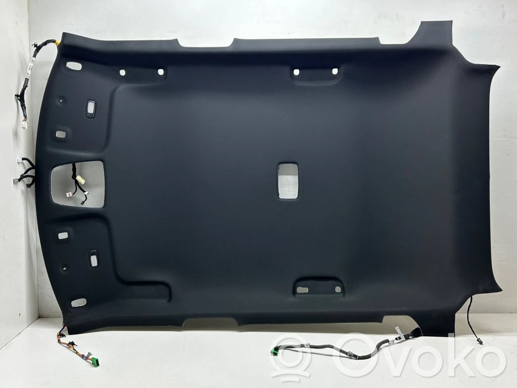 KIA EV6 Headlining 