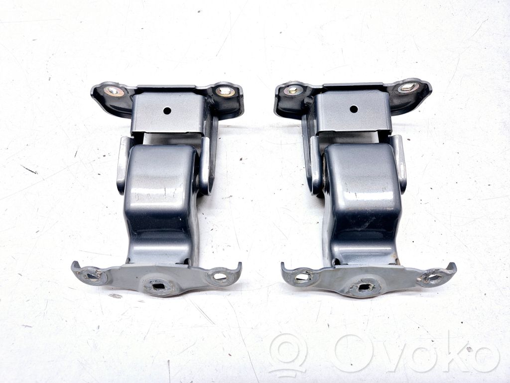 Renault Trafic II (X83) Loading door hinge set 