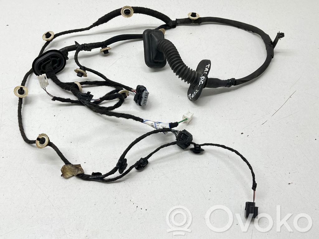 Renault Talisman Cableado de puerta trasera 