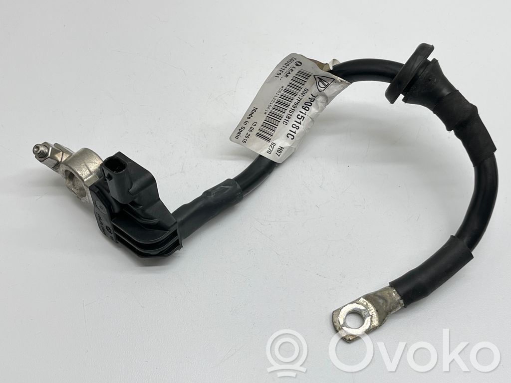 Porsche Cayenne (92A) Cable negativo de tierra (batería) 