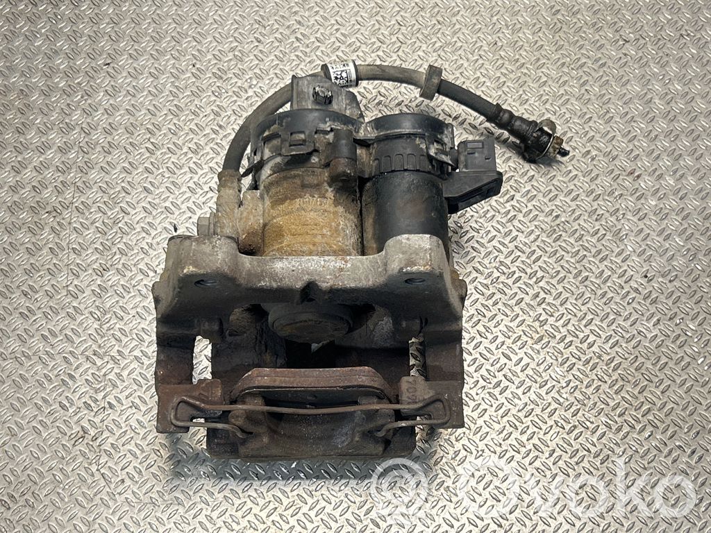 Takajarrusatula   32217364,31687559