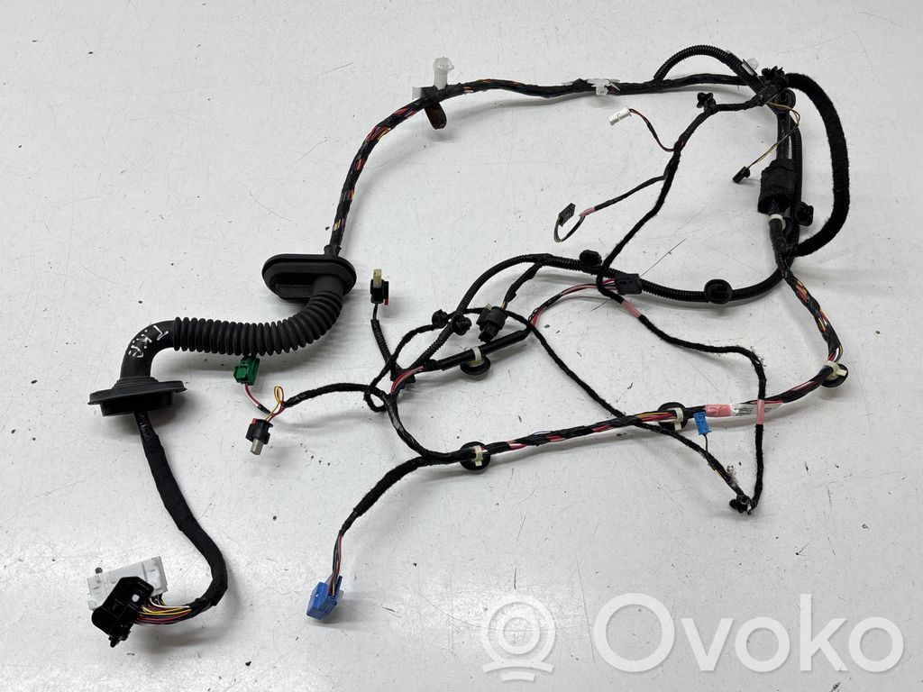 Tesla Model 3 Cableado de puerta delantera 