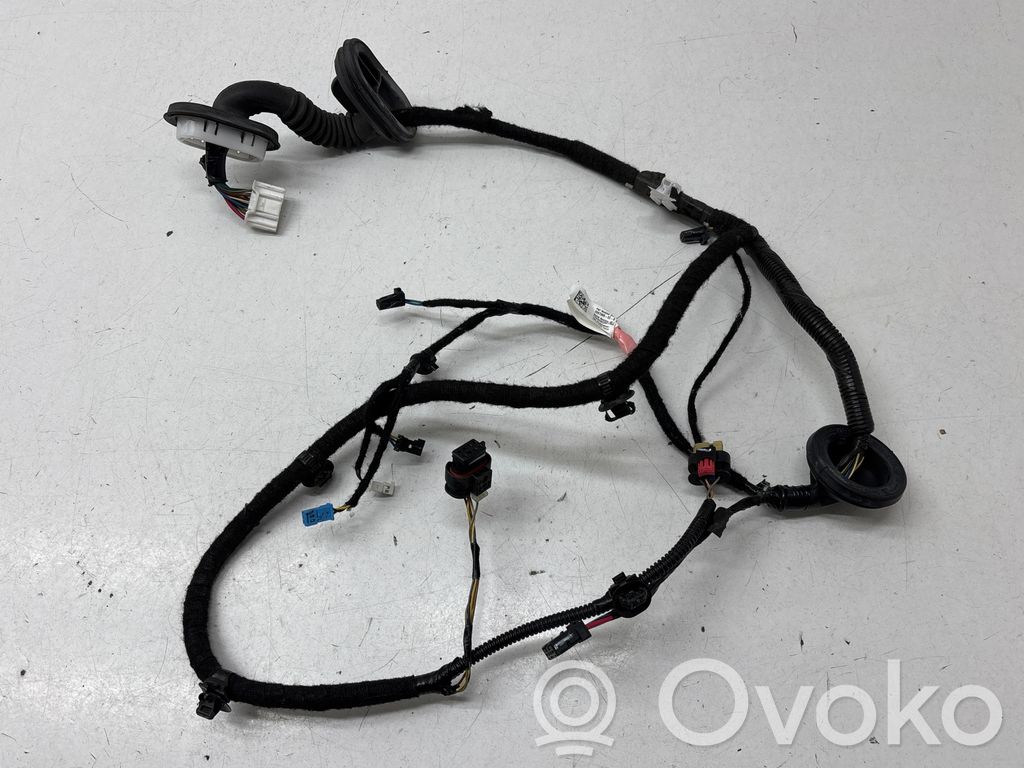 Cableado de puerta trasera   206796600B,YZK22252501754