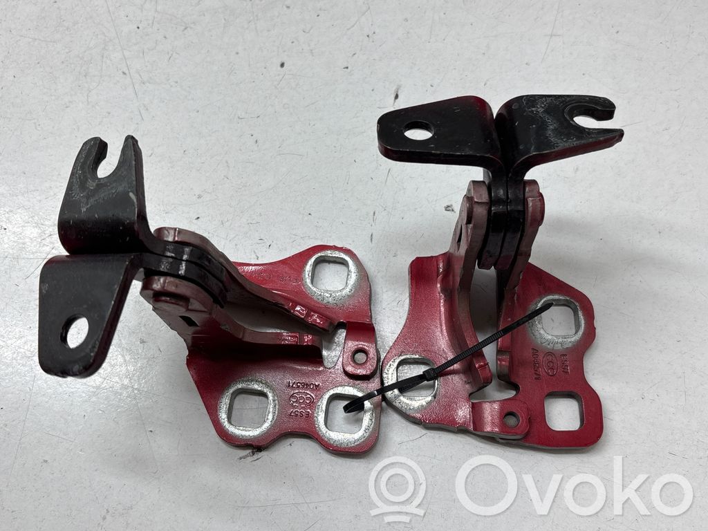 Front door hinge set   A046571,ES57
