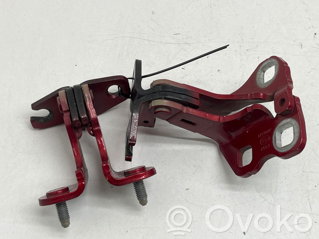 Tesla Model 3 Rear door hinge set 