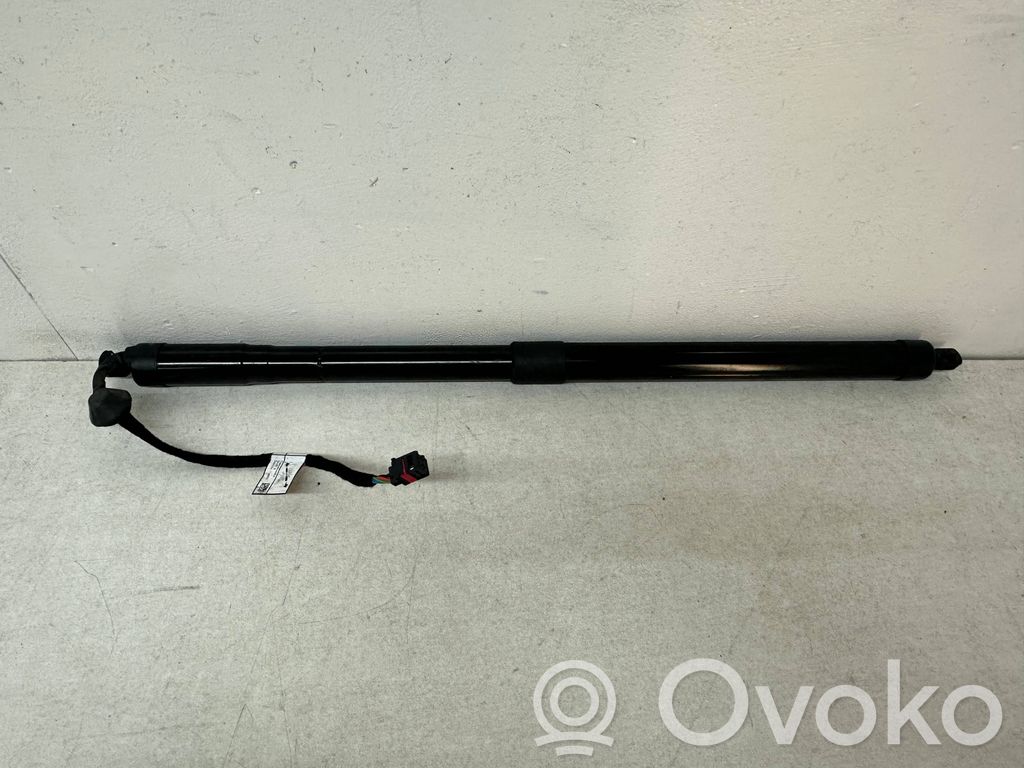 Tailgate strut   31690929