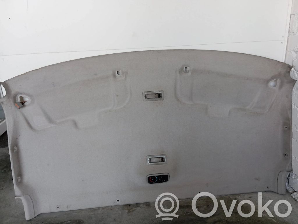 Ford Transit Dachhimmel 