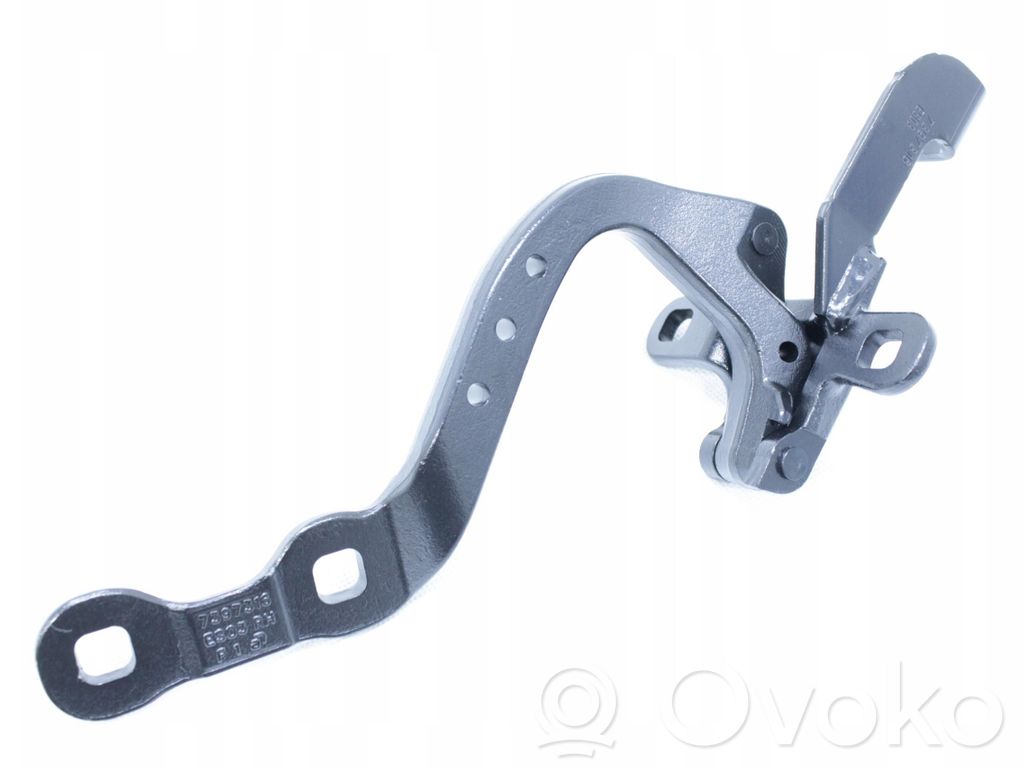 Tailgate hinge   7494944