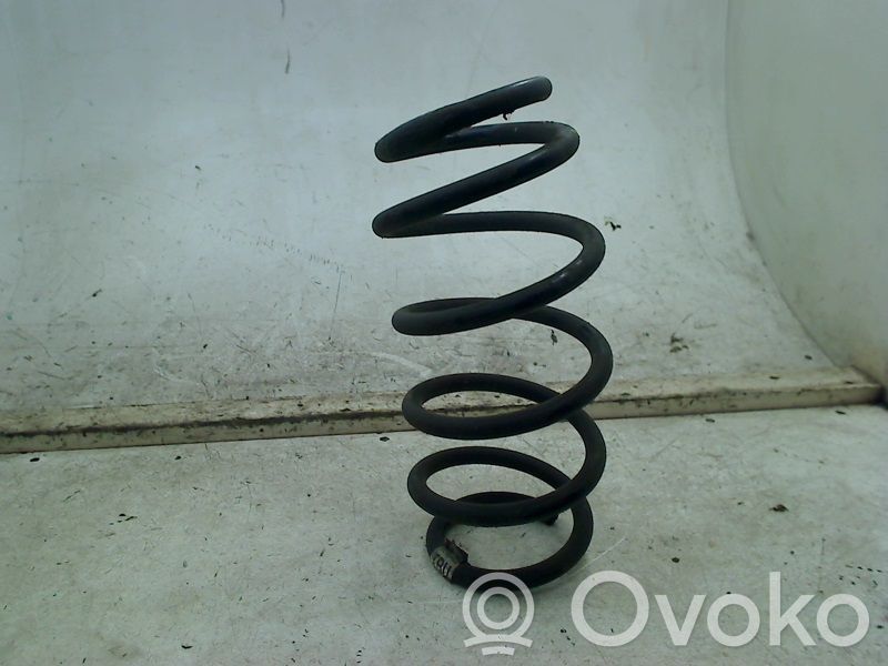 Muelle espiral trasero