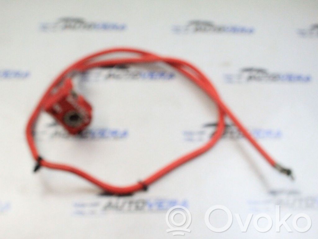 Câble de batterie positif   6989779,6989780