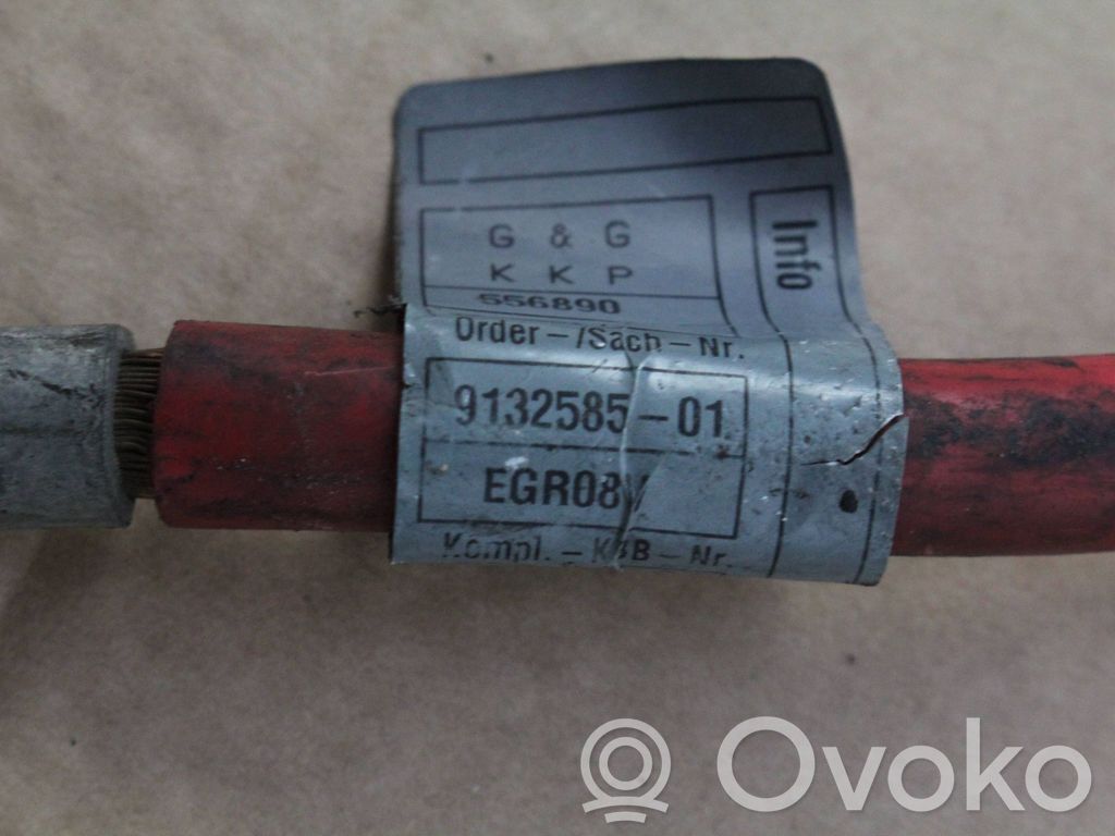 Pluskabel Batterie   9132585