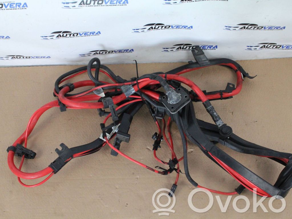 BMW X6 E71 Plusa vads (akumulatora) 