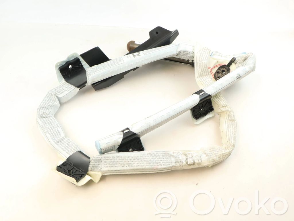 BMW X1 E84 Airbag del techo 
