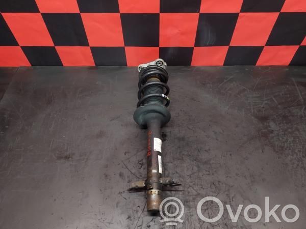 Stoßdämpfer vorne   50707867,50707946,50708439,50708609,5202ZK,5202ZL,520855,5208L4,5208L5