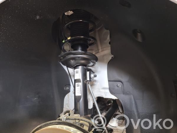 Volkswagen Caddy Front shock absorber/damper 