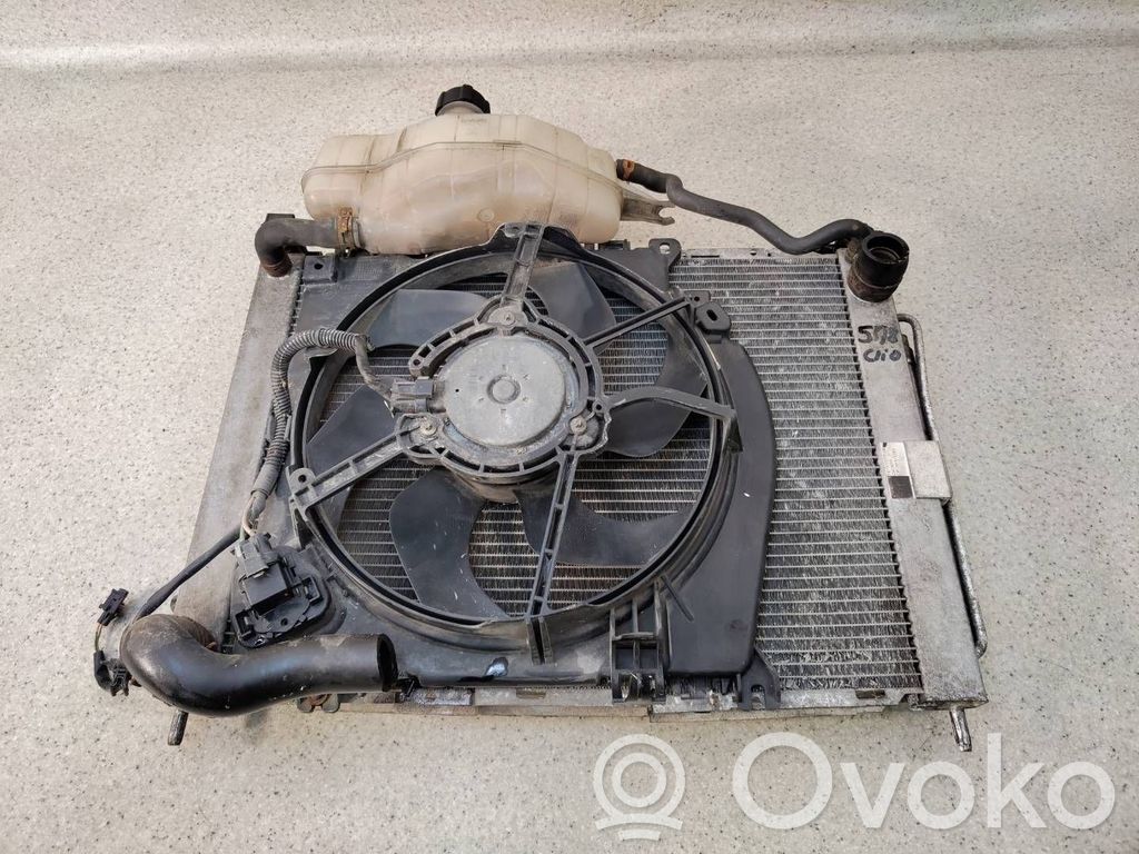 Renault Clio III Aušinimo skysčio radiatorius 