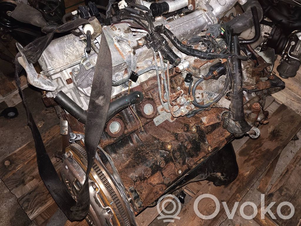 Austauschmotor   WLT