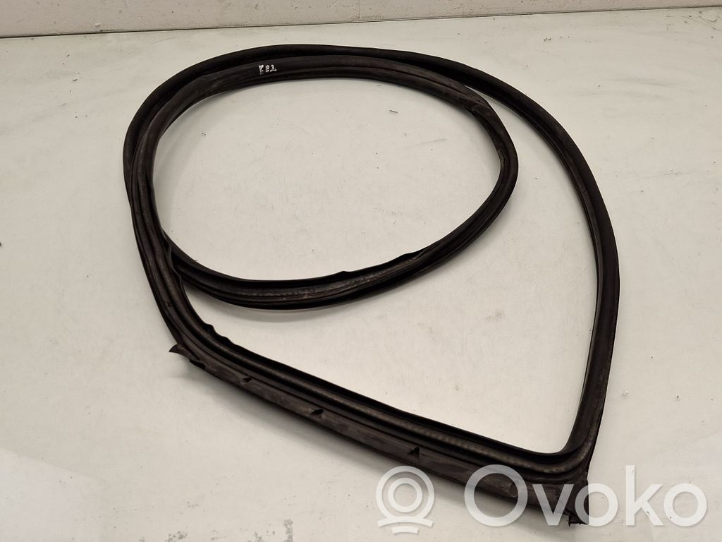 BMW 1 E82 E88 Front door rubber seal 