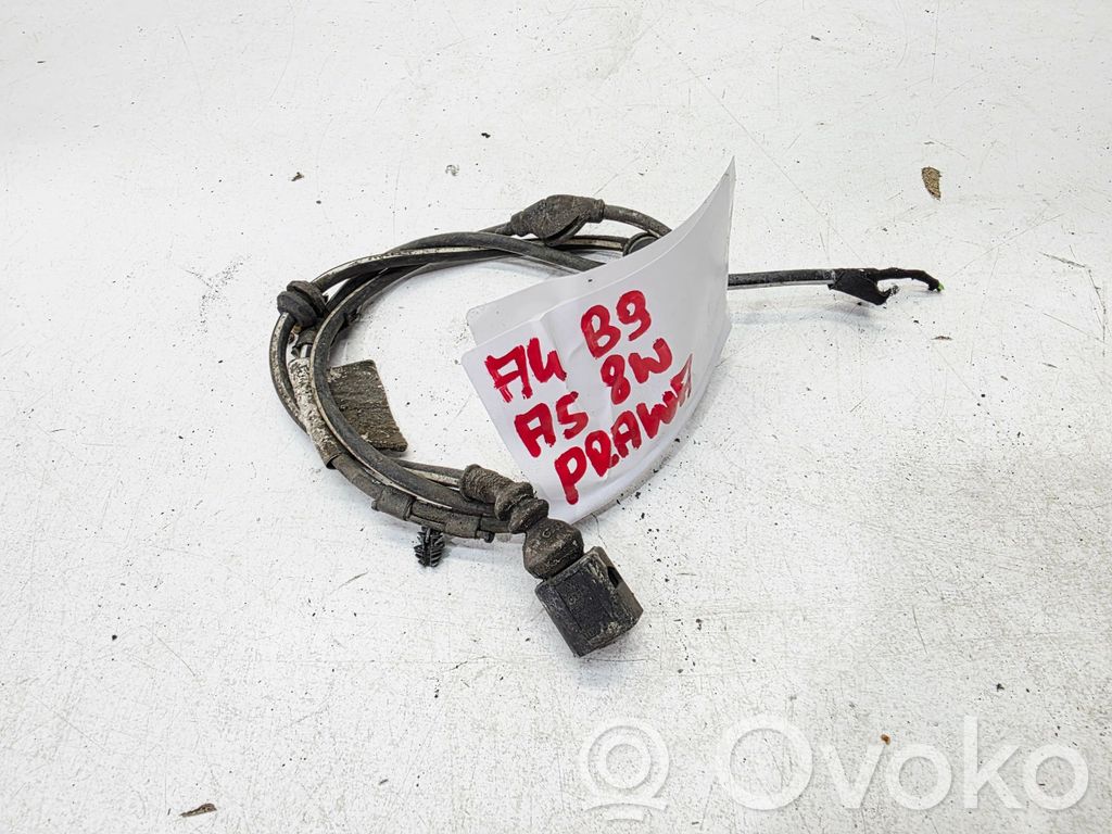 Audi A5 Otros cableados 