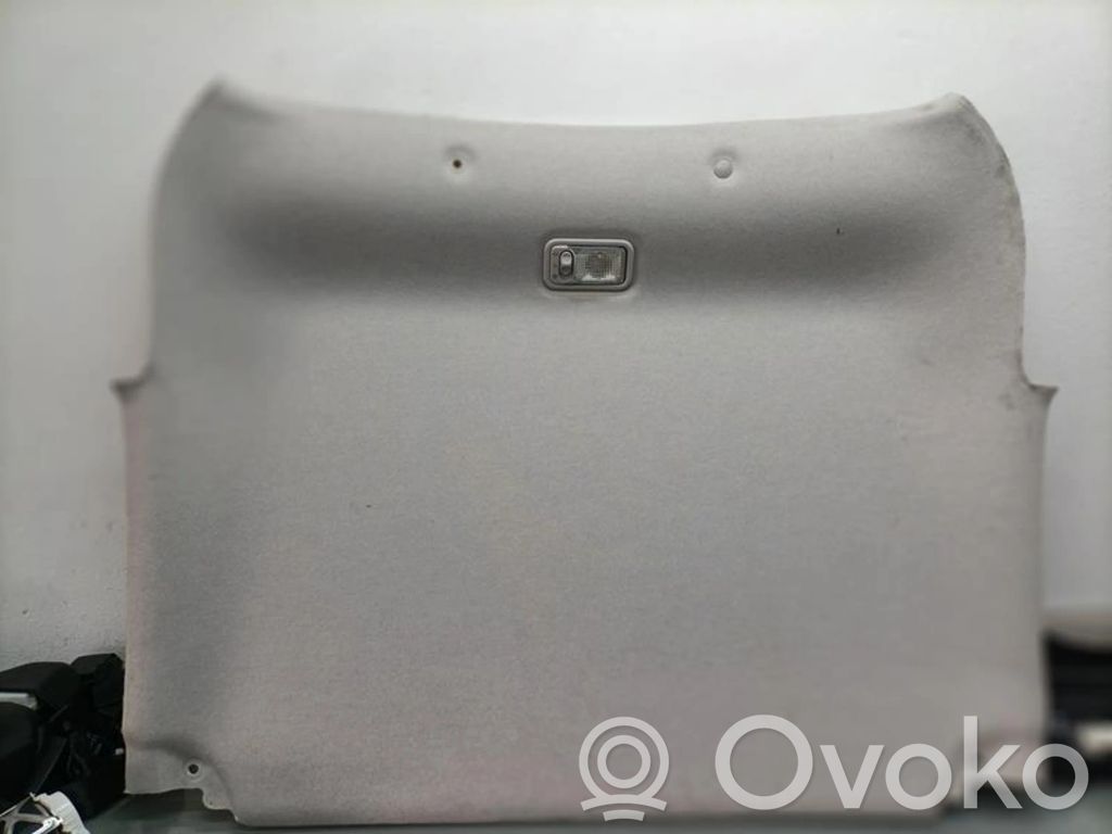 Citroen C3 Headlining 