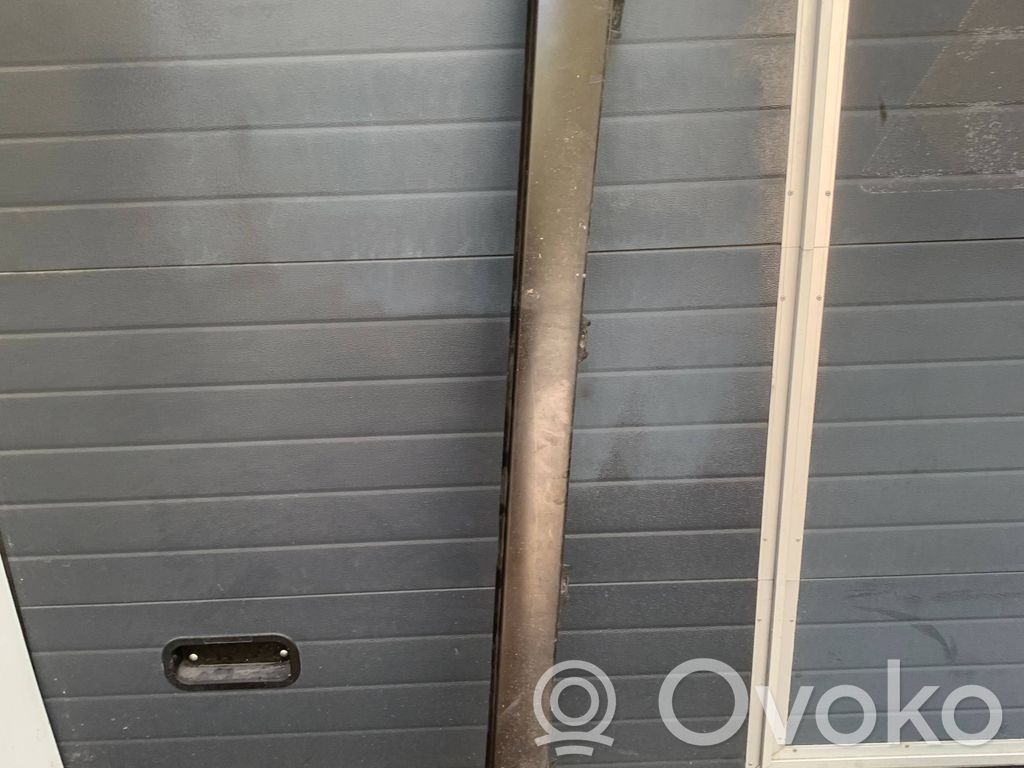 Listón   4F9853859
