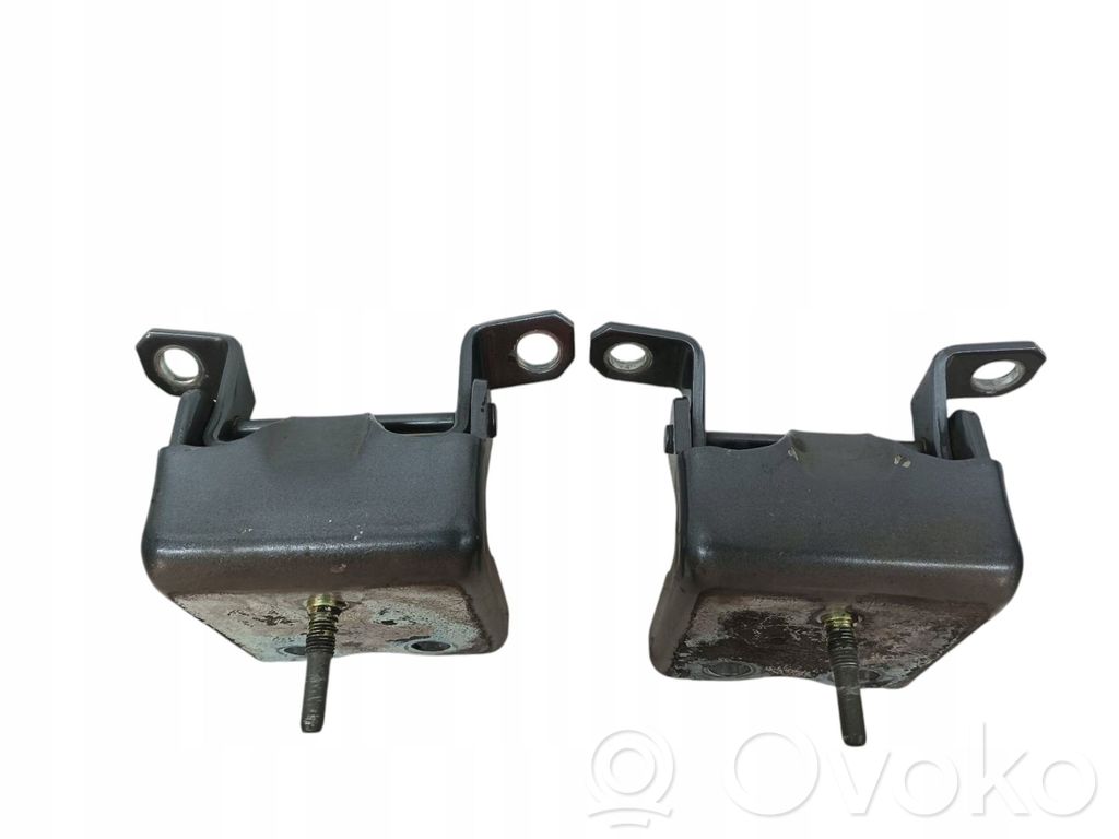 Renault Koleos I Tailgate/trunk/boot hinge 