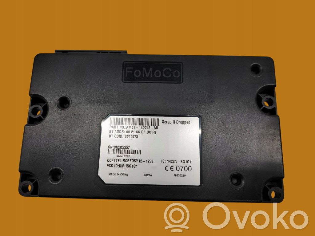 Ford Focus Other control units/modules 