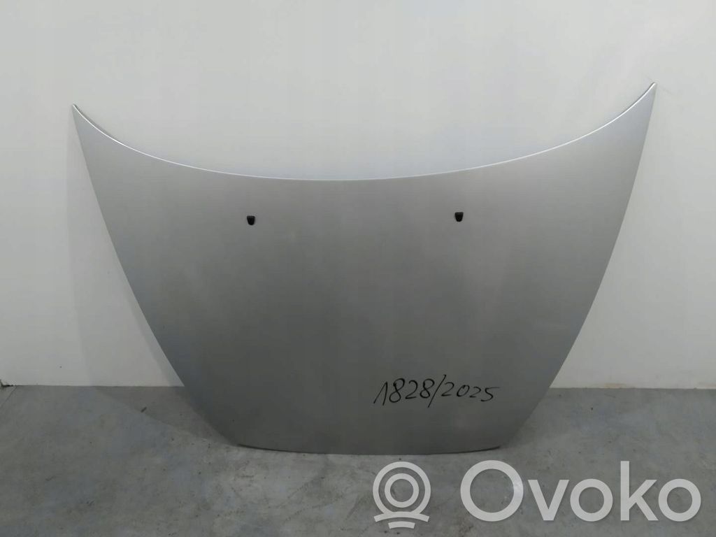 Vano motore/cofano