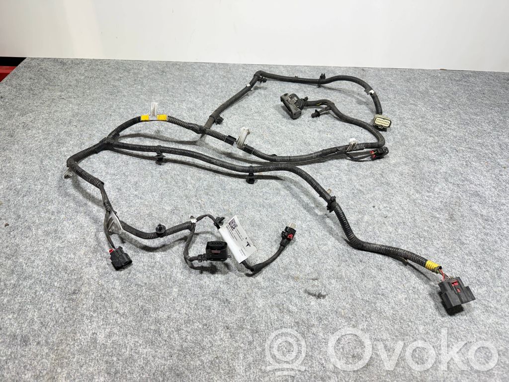 Wiring harness   248905901B,2489059,E4023262B84175,248905901B