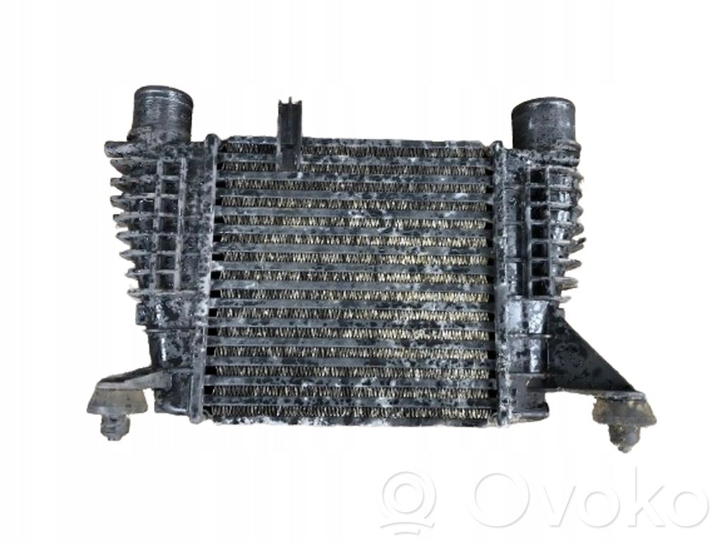 Intercooler radiator   144619U20A