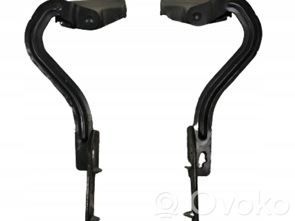 Renault Modus Engine bonnet/hood hinges 
