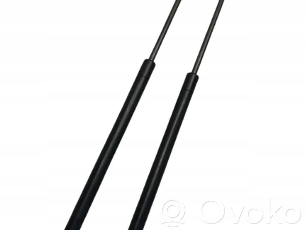 Volkswagen Eos Tailgate/trunk strut/damper 