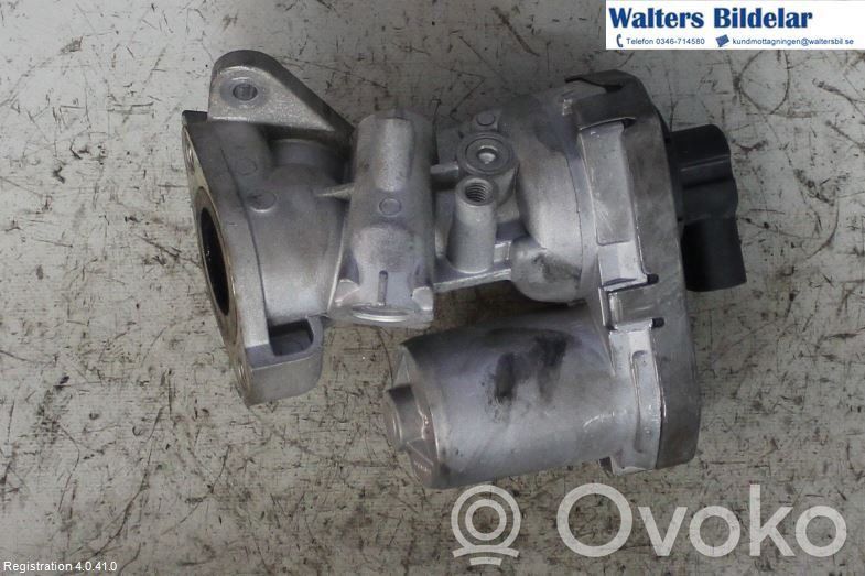 Válvula EGR   V24630003,V24630003