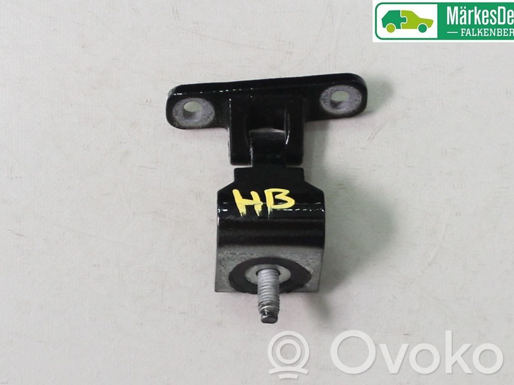 Audi Q3 8U Tailgate/trunk/boot hinge 
