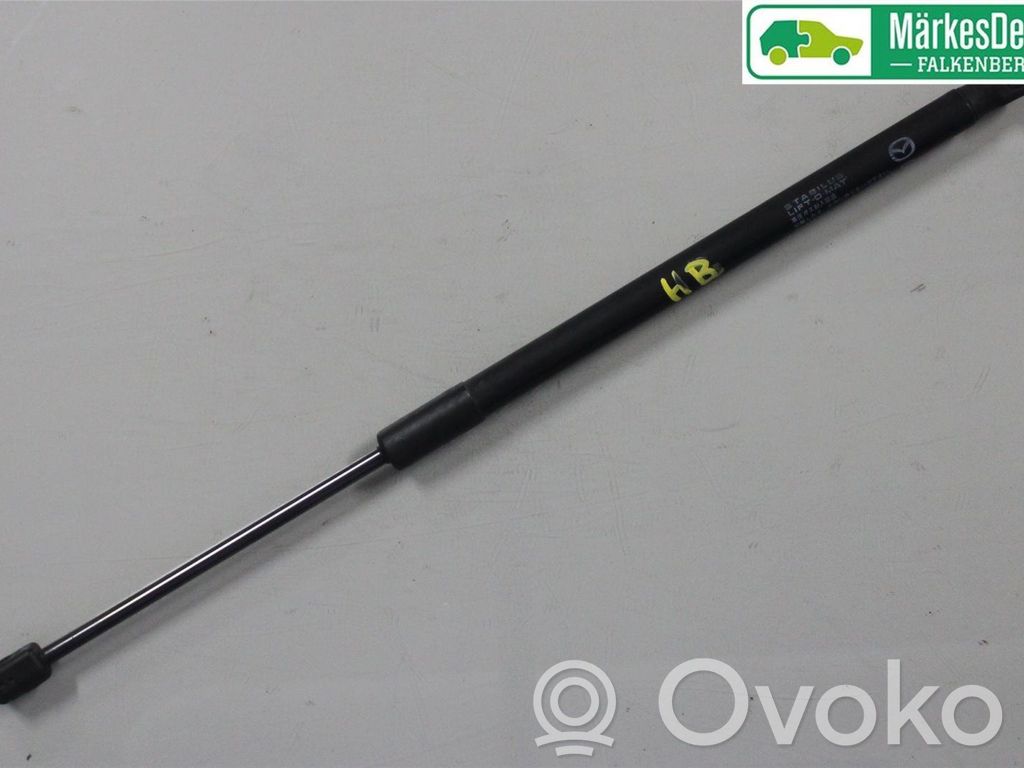 Jambe de force de hayon   D65162620A,D65162620A,D65162620A