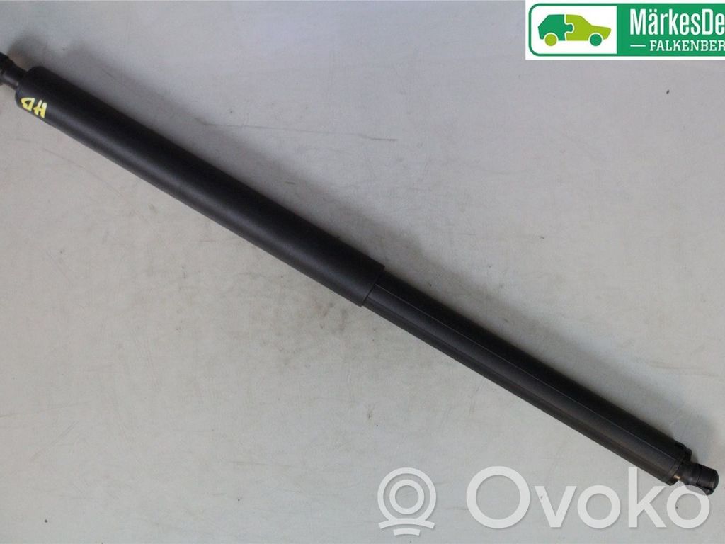 MG EHS Tailgate strut 
