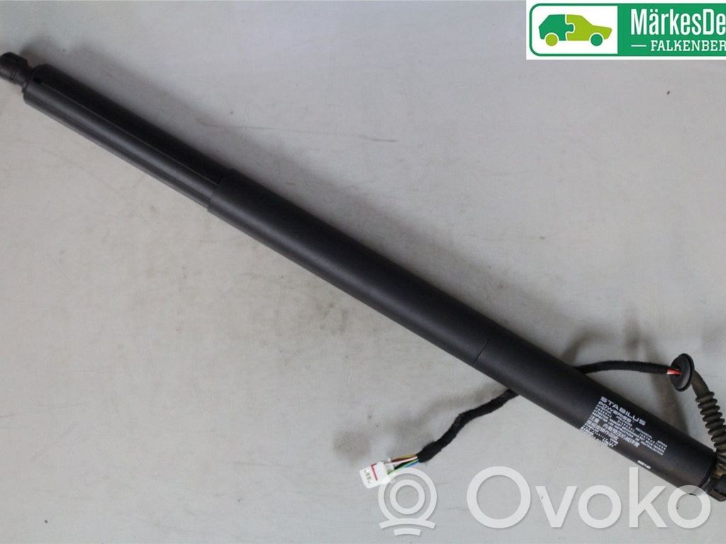 MG EHS Tailgate strut 