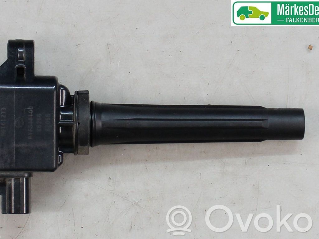 Aukštos įtampos ritė "babyna"   PYFS18100,PYFS18100