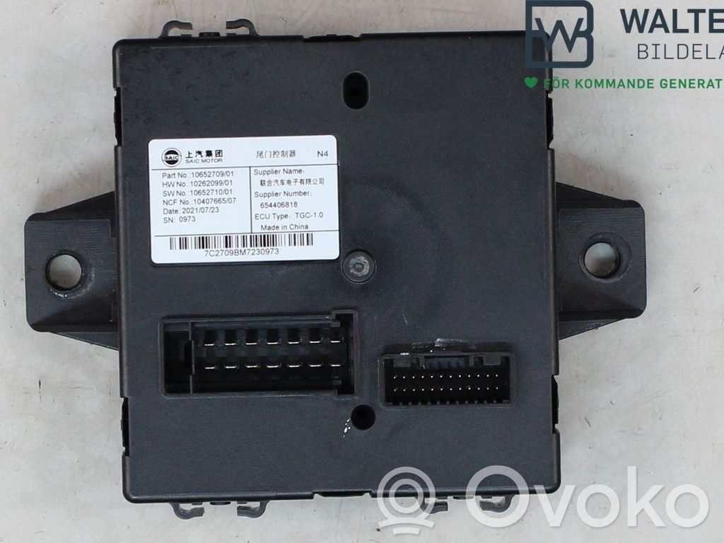MG EHS Other control units/modules 
