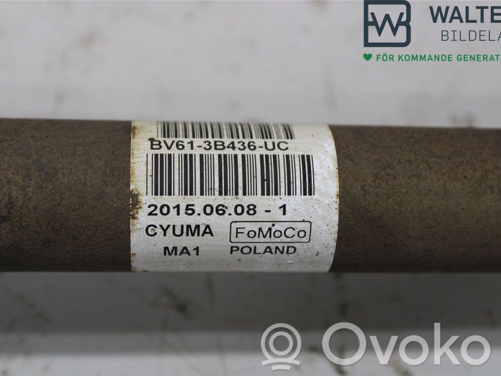 Ford Focus Front driveshaft 