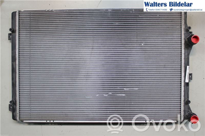 Volkswagen PASSAT B7 Radiatore di raffreddamento 