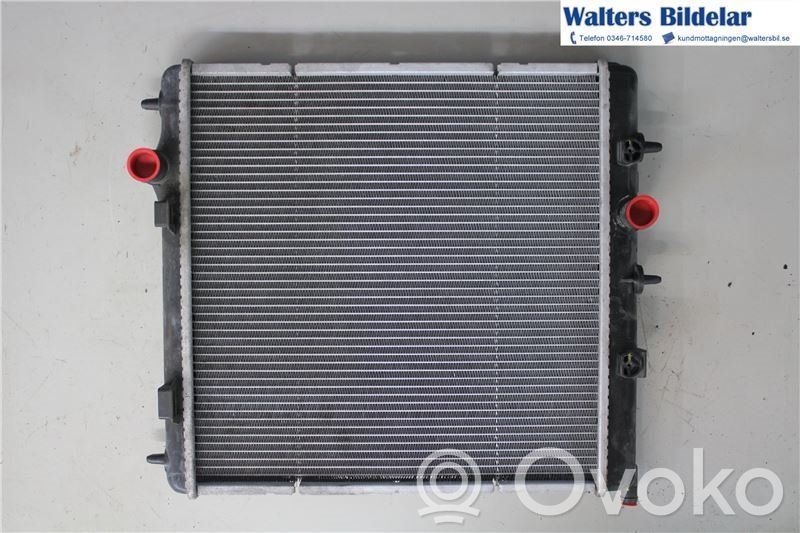 Peugeot 207 Radiator lichid răcire 