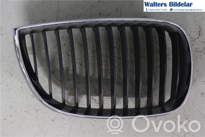 BMW 1 E81 E87 Front bumper lower grill 