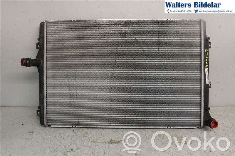 Volkswagen PASSAT B6 Radiatore di raffreddamento