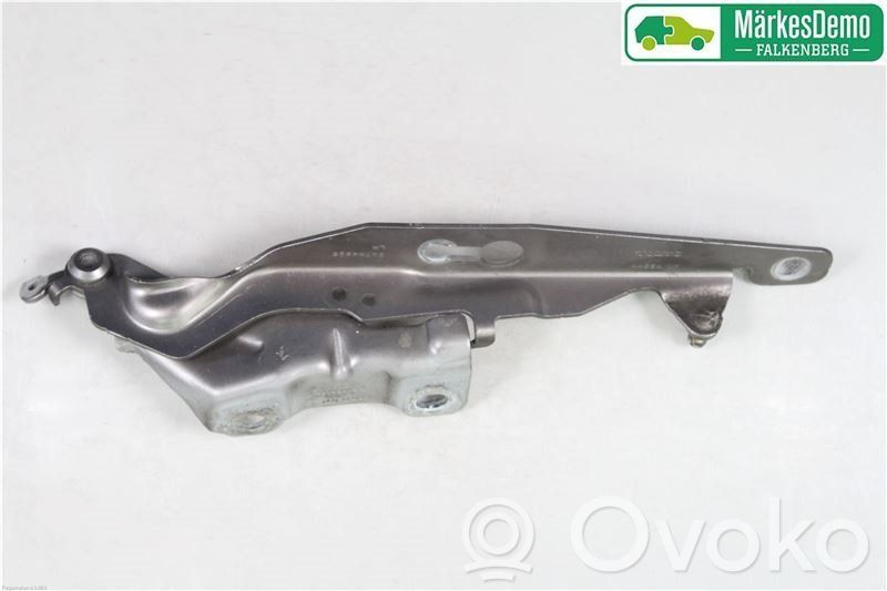 Scharnier Motorhaube   31250185,31250185