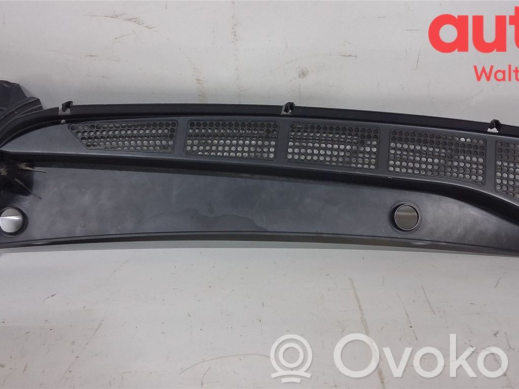 Peugeot Expert Moldura del limpia 